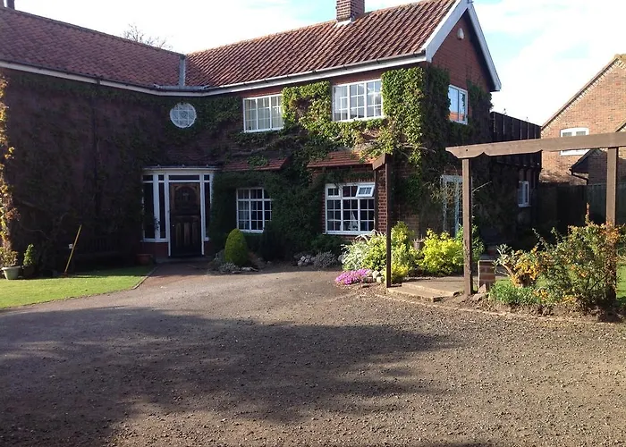 The Summer Room